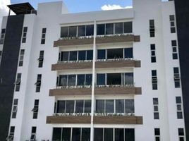 2 Habitación Apartamento en alquiler en Merida, Yucatán, Merida, Yucatán