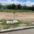  Land for sale in Alvarado, Tolima, Alvarado