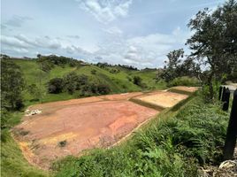  Grundstück zu verkaufen in El Carmen De Viboral, Antioquia, El Carmen De Viboral