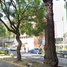 2 Bedroom Apartment for sale in Miguel Hidalgo, Mexico City, Miguel Hidalgo, Mexico City