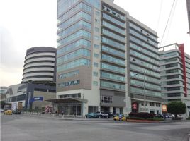 1 Habitación Departamento en alquiler en Guayas, Guayaquil, Guayaquil, Guayas