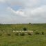  Land for sale in Pringgabaya, Lombok, Pringgabaya, Lombok Timur