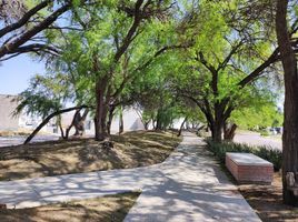  Grundstück zu verkaufen in Aguascalientes, Aguascalientes, Aguascalientes, Aguascalientes