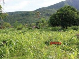  Land for sale in Karangasem, Bali, Karangasem, Karangasem