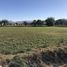  Land for sale in Ixmiquilpan, Hidalgo, Ixmiquilpan