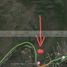  Land for sale in Santiago, Nuevo Leon, Santiago, Nuevo Leon