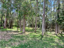  Terreno (Parcela) en venta en Rionegro, Antioquia, Rionegro, Antioquia