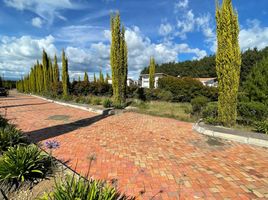  Terreno (Parcela) en venta en Tuta, Boyaca, Tuta