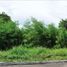 Terreno (Parcela) en venta en Lapu-Lapu City, Central Visayas, Lapu-Lapu City, Cebu
