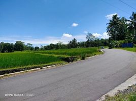  Land for sale in Yogyakarta, Pakem, Sleman, Yogyakarta