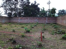  Land for sale in West Jawa, Padalarang, Bandung, West Jawa