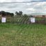  Land for rent in Ocotlan Jalisco, Ocotlan
