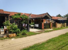 2 Schlafzimmer Haus zu verkaufen in Pandeglang, Banten, Pagelaran, Pandeglang