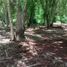  Land for sale in Valladolid, Yucatan, Valladolid