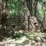  Land for sale in Valladolid, Yucatan, Valladolid
