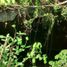  Land for sale in Valladolid, Yucatan, Valladolid