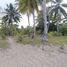  Land for sale in Palawan Mimaropa, Coron