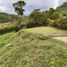  Land for sale in Moniquira, Boyaca, Moniquira