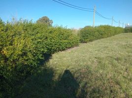  Land for sale in Colon, Entre Rios, Colon