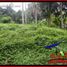  Land for sale in Selemadeg, Tabanan, Selemadeg