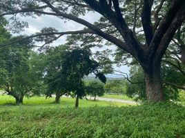  Land for sale in Nasugbu, Batangas, Nasugbu