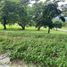  Land for sale in Nasugbu, Batangas, Nasugbu