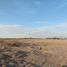  Land for sale in Torreon, Coahuila, Torreon