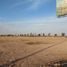  Land for sale in Torreon, Coahuila, Torreon
