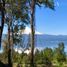  Terreno (Parcela) en venta en Araucanía, Villarrica, Cautín, Araucanía