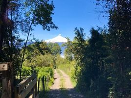  Terreno (Parcela) en venta en Araucanía, Villarrica, Cautín, Araucanía