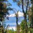  Terreno (Parcela) en venta en Araucanía, Villarrica, Cautín, Araucanía
