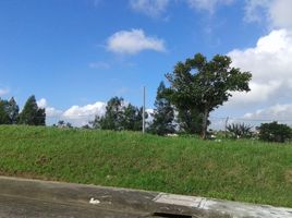  Land for sale in Silang, Cavite, Silang