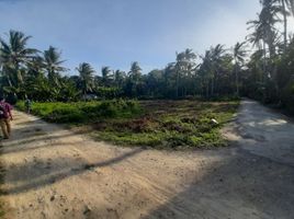  Land for sale in Pengasih, Kulon Progo, Pengasih