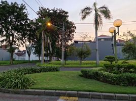  Terreno (Parcela) en venta en Tambaksari, East Jawa, Tambaksari, Surabaya, East Jawa