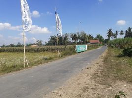  Land for sale in Jenggawah, Jember, Jenggawah