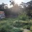  Land for sale in Temixco, Morelos, Temixco
