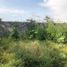  Land for sale in Temixco, Morelos, Temixco