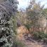  Land for sale in San Jode De Maipo, Cordillera, San Jode De Maipo