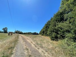  Terreno (Parcela) en venta en Araucanía, Temuco, Cautín, Araucanía
