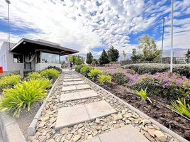  Land for sale in Chile, Santiago, Santiago, Santiago, Chile