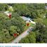  Land for sale in Changuinola, Bocas Del Toro, Guabito, Changuinola
