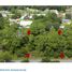  Land for sale in Changuinola, Bocas Del Toro, Guabito, Changuinola