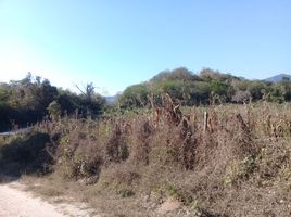  Land for sale in Dist Pochutla, Oaxaca, Dist Pochutla, Oaxaca
