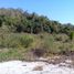 Land for sale in Dist Pochutla, Oaxaca, Dist Pochutla, Oaxaca