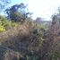  Land for sale in Dist Pochutla, Oaxaca, Dist Pochutla, Oaxaca