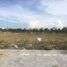  Land for sale in O Cho Dua, Hanoi, O Cho Dua, Dong Da, Hanoi