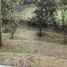 4 Bedroom Villa for sale in Coblong, West Jawa, Coblong