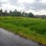  Land for sale in Selemadeg, Tabanan, Selemadeg