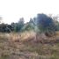  Terreno (Parcela) en venta en Llanquihue, Los Lagos, Frutillar, Llanquihue