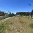 4 chambre Villa for sale in Puerto Varas, Llanquihue, Puerto Varas
